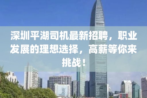 深圳平湖司机最新招聘，职业发展的理想选择，高薪等你来挑战！