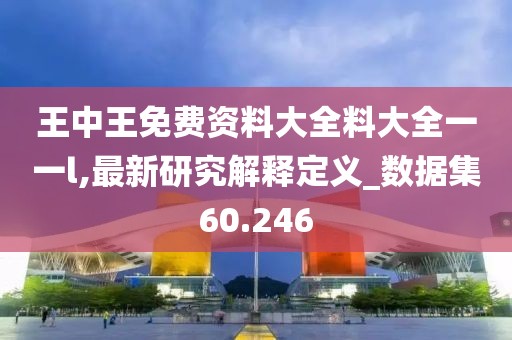 王中王免费资料大全料大全一一l,最新研究解释定义_数据集60.246