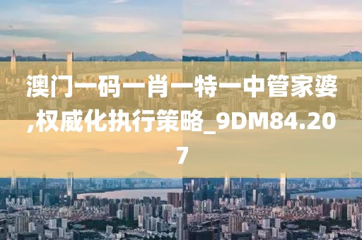 澳门一码一肖一特一中管家婆,权威化执行策略_9DM84.207