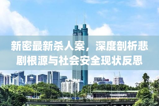 新密最新杀人案，深度剖析悲剧根源与社会安全现状反思