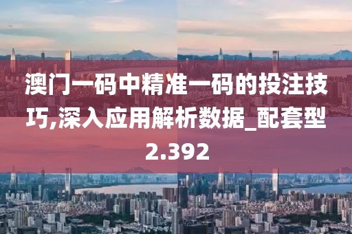 澳门一码中精准一码的投注技巧,深入应用解析数据_配套型2.392