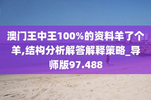 澳门王中王100%的资料羊了个羊,结构分析解答解释策略_导师版97.488