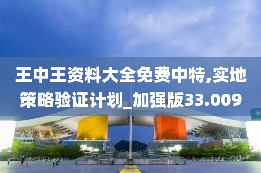 王中王资料大全免费中特,实地策略验证计划_加强版33.009