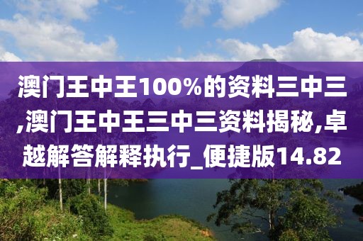 澳门王中王100%的资料三中三,澳门王中王三中三资料揭秘,卓越解答解释执行_便捷版14.82