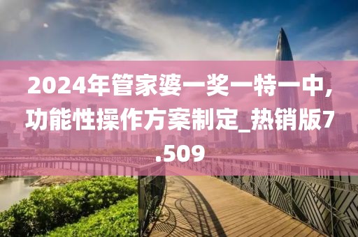 2024年管家婆一奖一特一中,功能性操作方案制定_热销版7.509