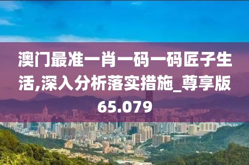 澳门最准一肖一码一码匠子生活,深入分析落实措施_尊享版65.079