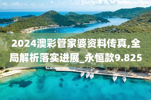 2024澳彩管家婆资料传真,全局解析落实进展_永恒款9.825