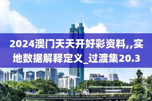 2024澳门天天开好彩资料,,实地数据解释定义_过渡集20.3