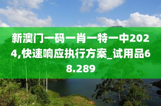 新澳门一码一肖一特一中2024,快速响应执行方案_试用品68.289