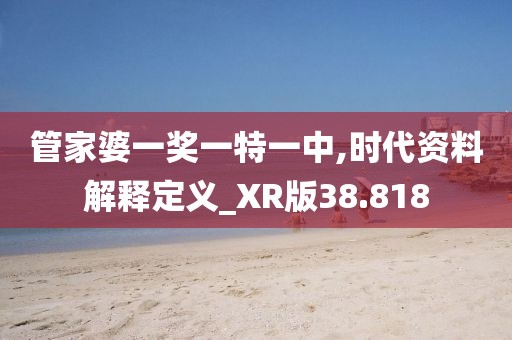 管家婆一奖一特一中,时代资料解释定义_XR版38.818