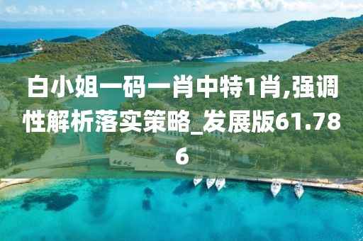 白小姐一码一肖中特1肖,强调性解析落实策略_发展版61.786