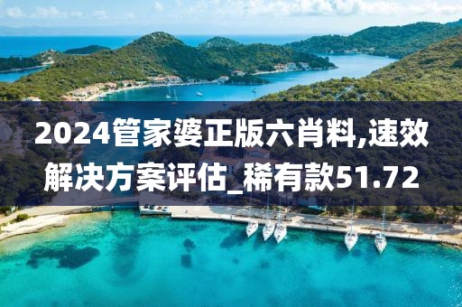 2024管家婆正版六肖料,速效解决方案评估_稀有款51.72