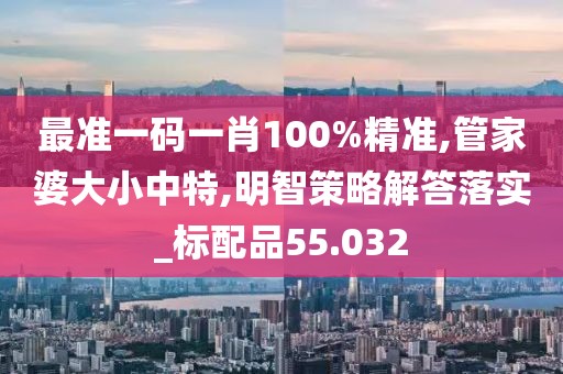 最准一码一肖100%精准,管家婆大小中特,明智策略解答落实_标配品55.032