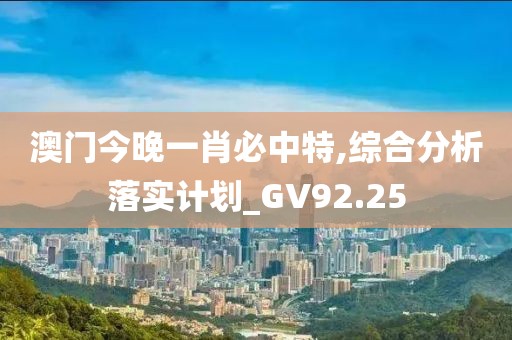 澳门今晚一肖必中特,综合分析落实计划_GV92.25