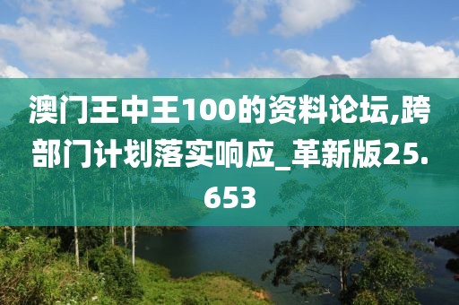 澳门王中王100的资料论坛,跨部门计划落实响应_革新版25.653