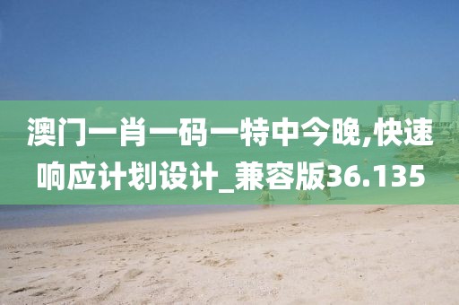 澳门一肖一码一特中今晚,快速响应计划设计_兼容版36.135