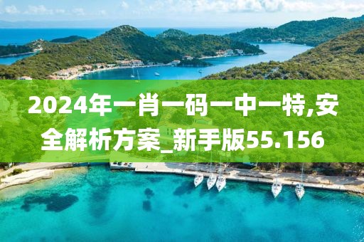 2024年一肖一码一中一特,安全解析方案_新手版55.156