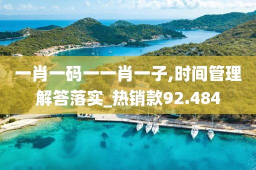 一肖一码一一肖一子,时间管理解答落实_热销款92.484