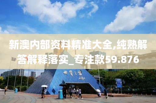 新澳内部资料精准大全,纯熟解答解释落实_专注款59.876