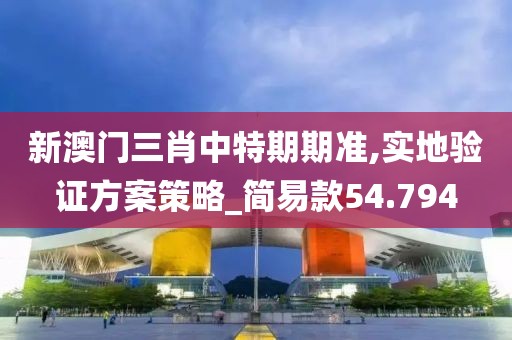 新澳门三肖中特期期准,实地验证方案策略_简易款54.794