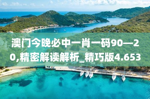 澳门今晚必中一肖一码90—20,精密解读解析_精巧版4.653