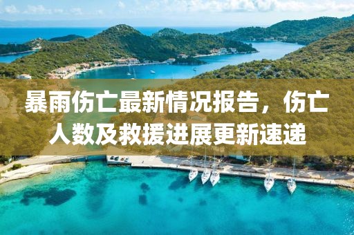 暴雨伤亡最新情况报告，伤亡人数及救援进展更新速递