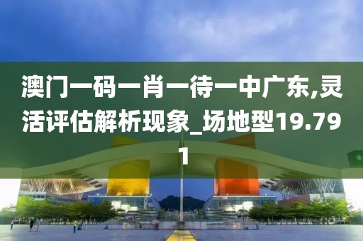 澳门一码一肖一待一中广东,灵活评估解析现象_场地型19.791