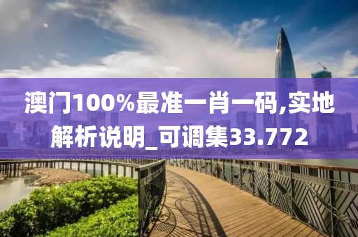 澳门100%最准一肖一码,实地解析说明_可调集33.772