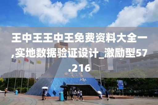 王中王王中王免费资料大全一,实地数据验证设计_激励型57.216