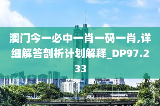澳门今一必中一肖一码一肖,详细解答剖析计划解释_DP97.233