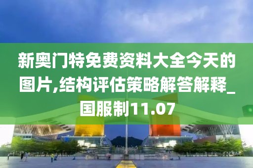 新奥门特免费资料大全今天的图片,结构评估策略解答解释_国服制11.07