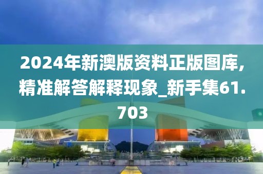 2024年新澳版资料正版图库,精准解答解释现象_新手集61.703