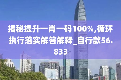 揭秘提升一肖一码100%,循环执行落实解答解释_自行款56.833