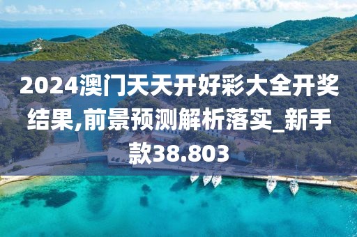 2024澳门天天开好彩大全开奖结果,前景预测解析落实_新手款38.803