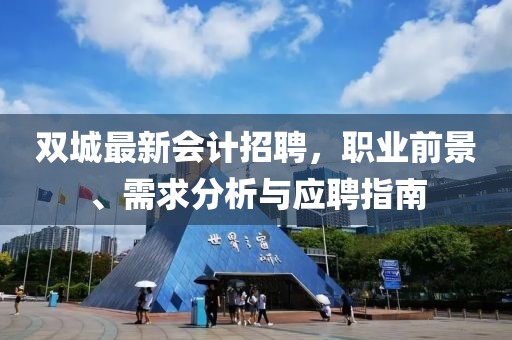 双城最新会计招聘，职业前景、需求分析与应聘指南