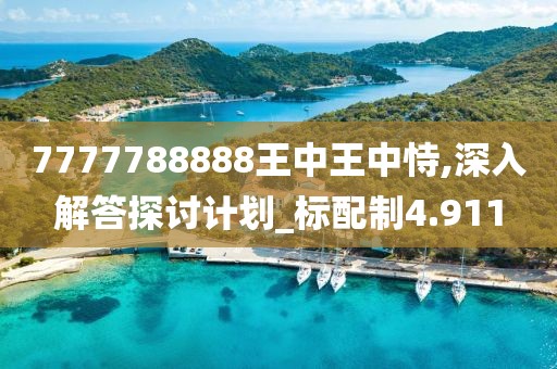 7777788888王中王中恃,深入解答探讨计划_标配制4.911