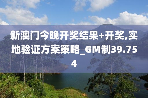 新澳门今晚开奖结果+开奖,实地验证方案策略_GM制39.754
