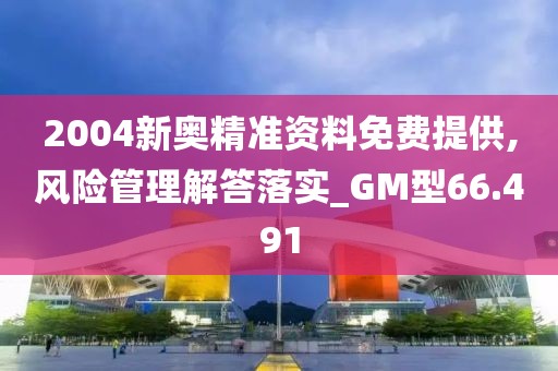 2004新奥精准资料免费提供,风险管理解答落实_GM型66.491