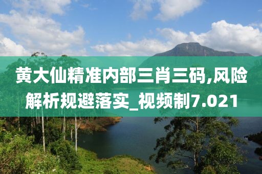 黄大仙精准内部三肖三码,风险解析规避落实_视频制7.021