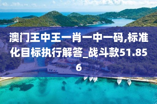 澳门王中王一肖一中一码,标准化目标执行解答_战斗款51.856