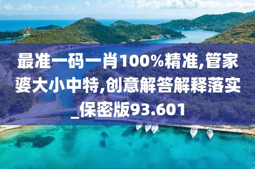 最准一码一肖100%精准,管家婆大小中特,创意解答解释落实_保密版93.601