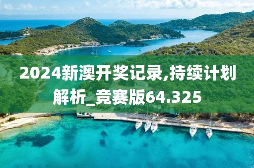 2024新澳开奖记录,持续计划解析_竞赛版64.325
