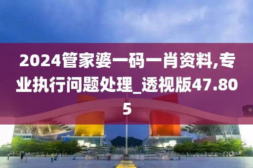 2024管家婆一码一肖资料,专业执行问题处理_透视版47.805