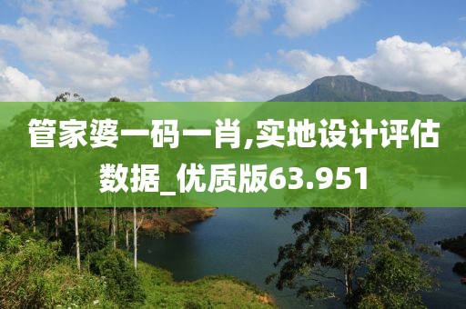管家婆一码一肖,实地设计评估数据_优质版63.951