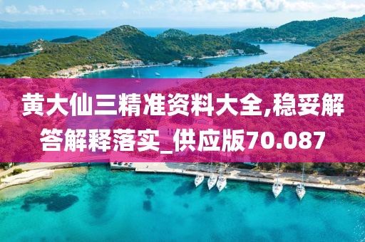 黄大仙三精准资料大全,稳妥解答解释落实_供应版70.087