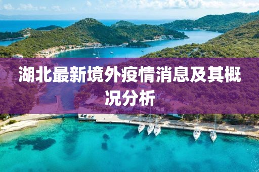 湖北最新境外疫情消息及其概况分析