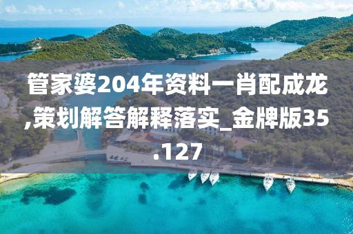 管家婆204年资料一肖配成龙,策划解答解释落实_金牌版35.127