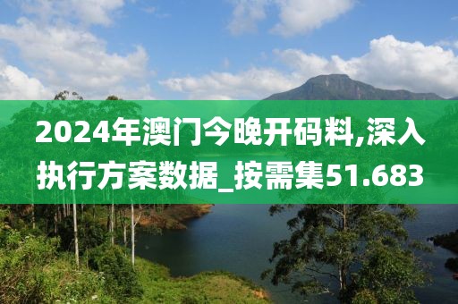 2024年澳门今晚开码料,深入执行方案数据_按需集51.683