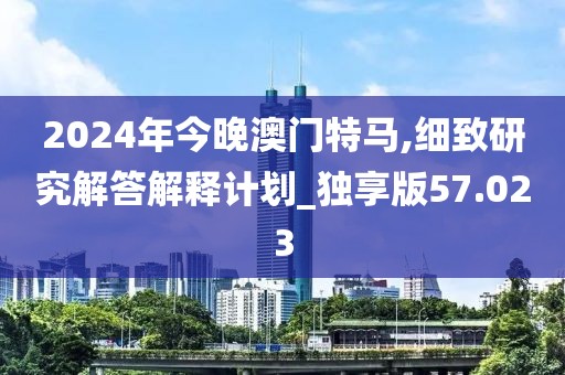 2024年今晚澳门特马,细致研究解答解释计划_独享版57.023