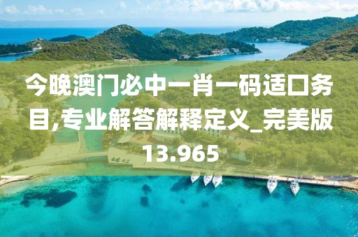 今晚澳门必中一肖一码适囗务目,专业解答解释定义_完美版13.965